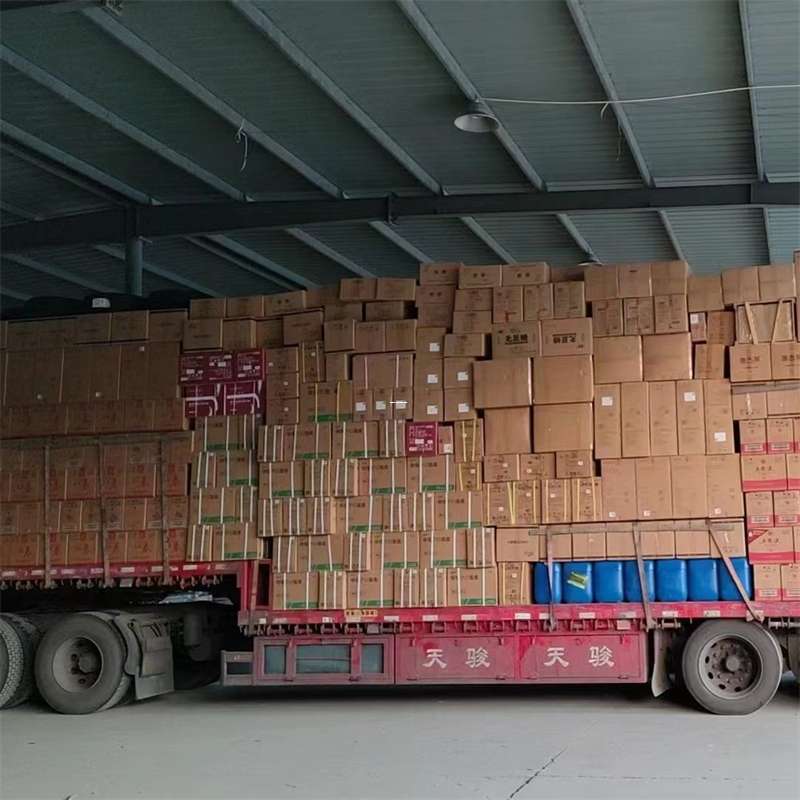 海头镇物流：多元专线运输的精彩世界