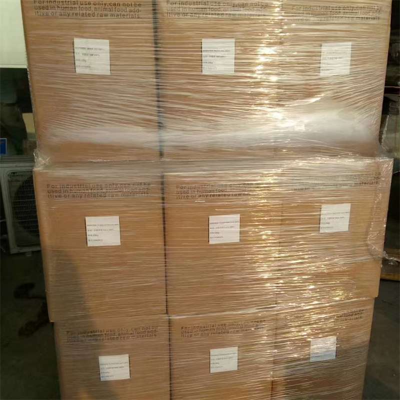 临桂区物流：多元服务与高效运输线路探秘