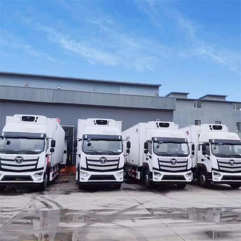 武汉市物流运输：多元服务与线路探秘