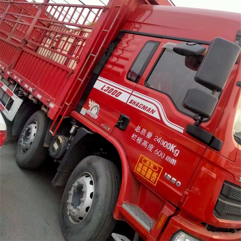 市南区物流：多元服务与高效运输探秘