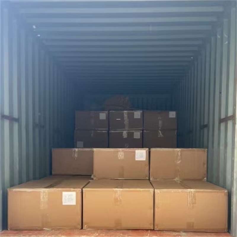 探秘新抚区多元物流运输世界