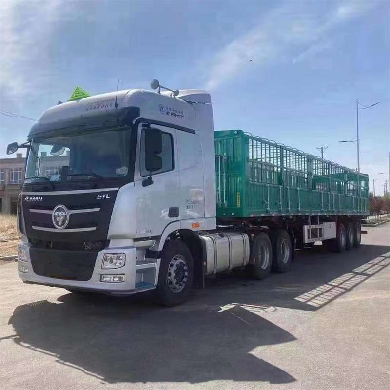 永年区物流：多元运输服务与线路探秘