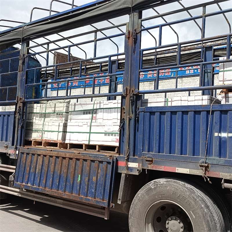 隆子县进仓物流：专线直达的多元货运探索