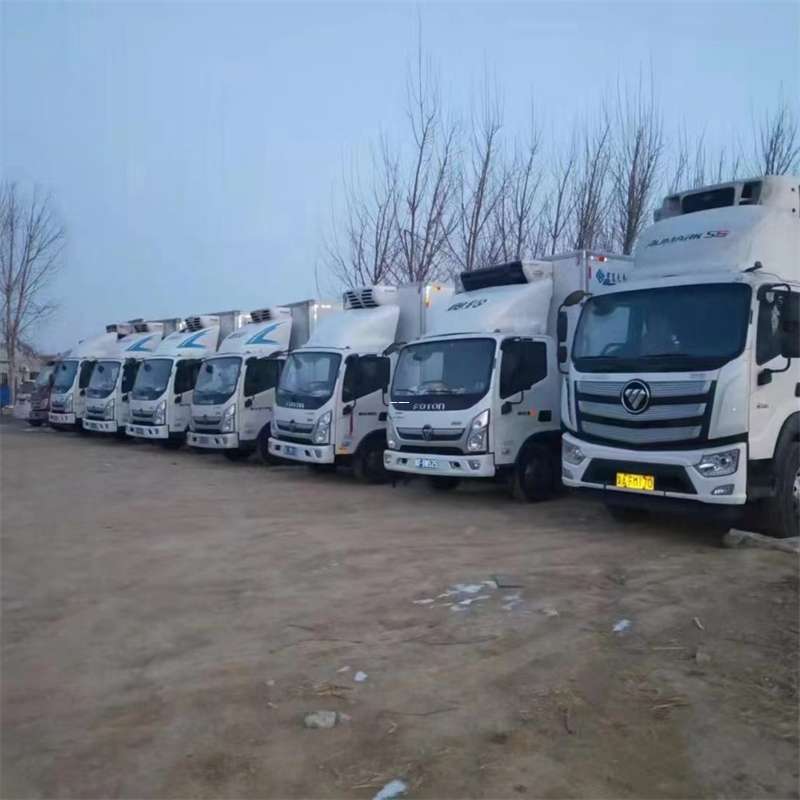 巩留县物流运输：专线直达与多样服务探索