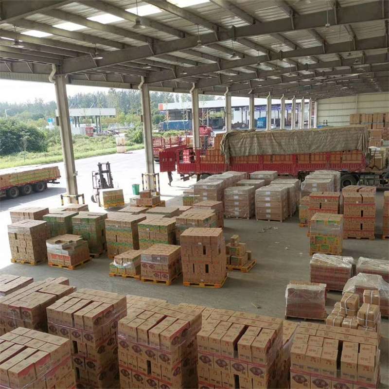 克拉玛依市物流运输:专线直达与大件货运探秘