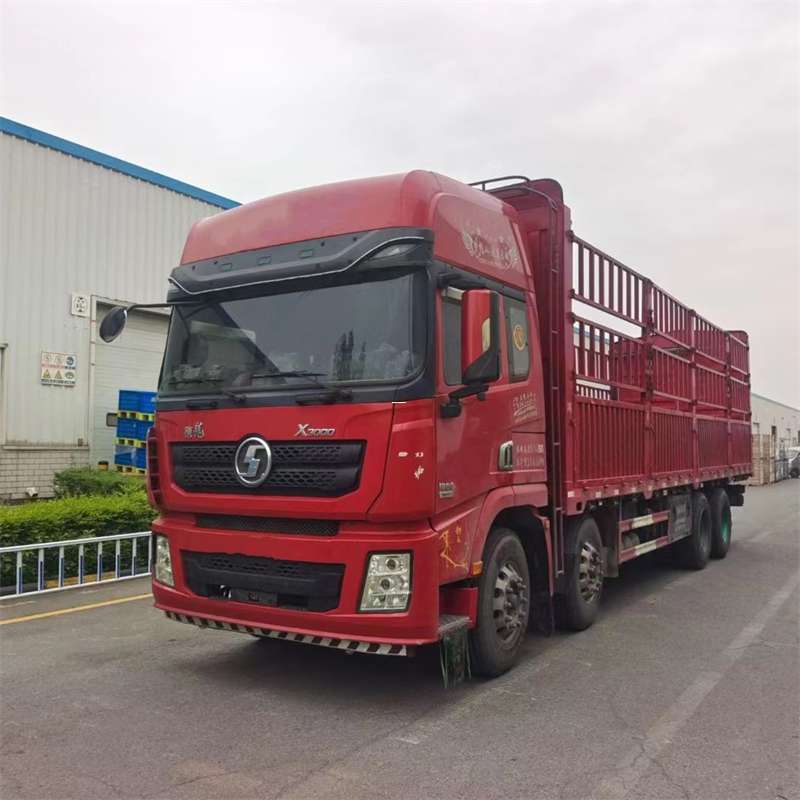 石棉县物流专线的高效运输之旅