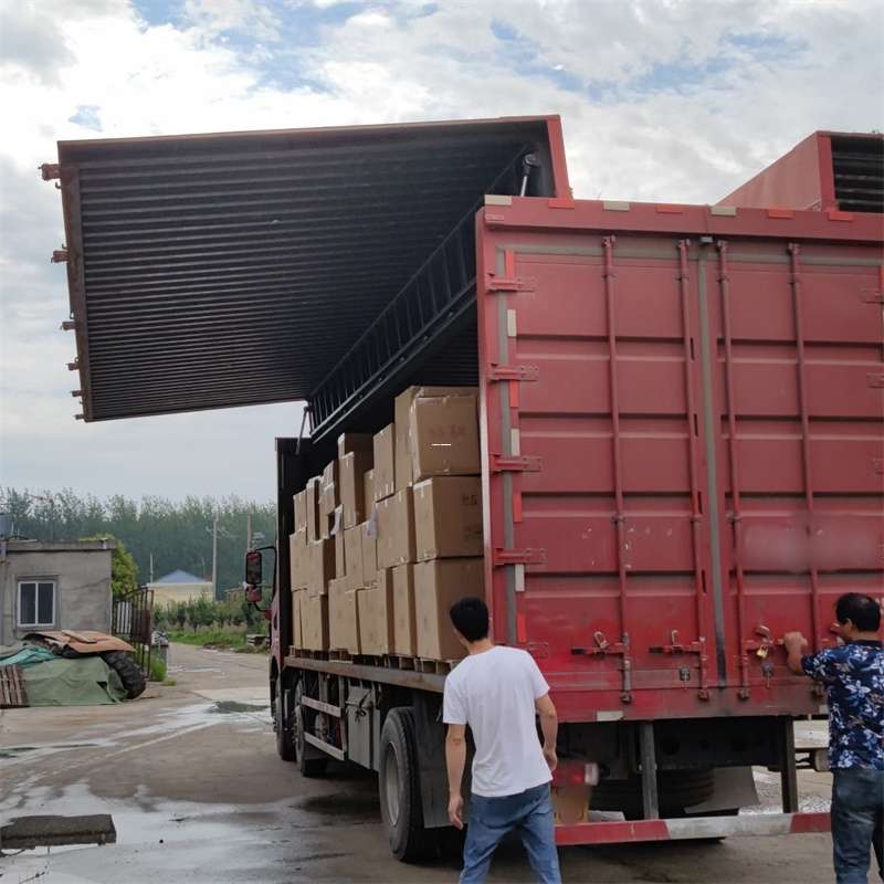 昭化区物流专线：开启高效运输新旅程