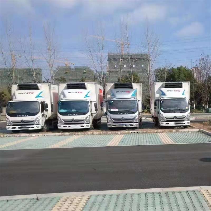 成华区物流：多元服务与高效运输线路探秘